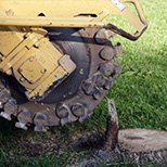 Tree Stump Grinding